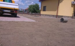 IMAG1186