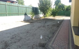 IMAG1412